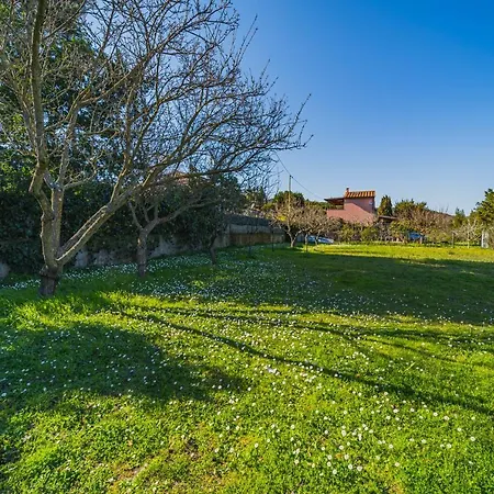 Casa Alex A Schiopparello - Goelba Daire *
