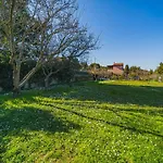 Casa Alex A Schiopparello - Goelba Apartmán *