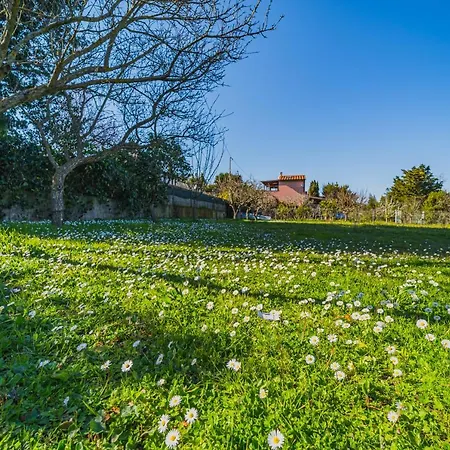 Casa Alex A Schiopparello - Goelba アパート *